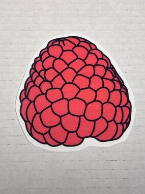 Raspberry Vinyl Cut Sticker